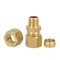 Everflow 1/2" O.D. COMP x 1/4" MIP Reducing Adapter Pipe Fitting, Lead Free Brass C68R-1214-NL - alternate 6